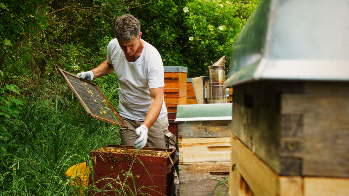 Rico Heinzig von der MyHoney GmbH