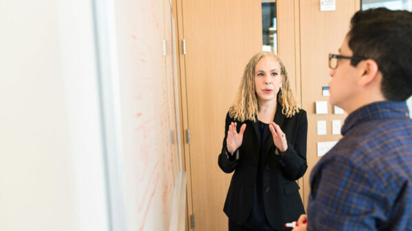 Agile Coach